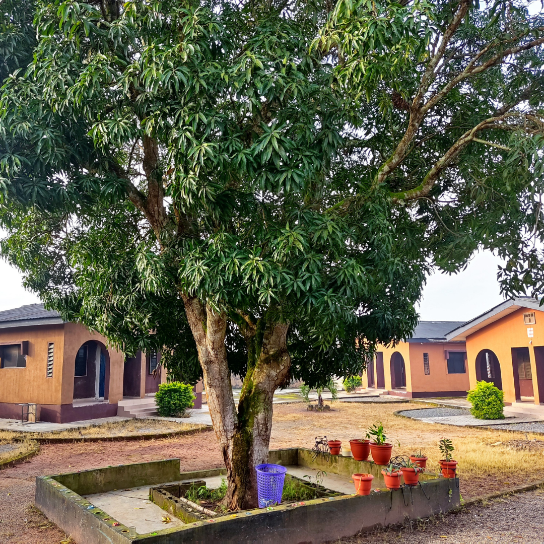 Compound view at Geobajas Hotels in Ijebu Imusin